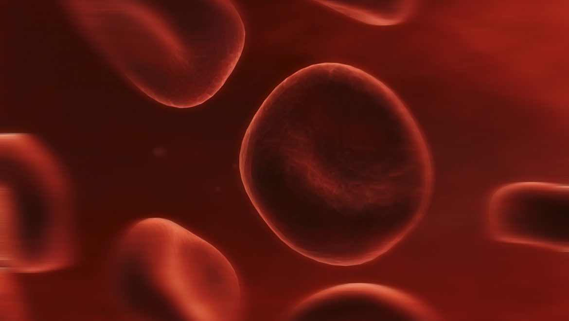 Efficacy and tolerability of a prolonged release ferrous sulphate formulation in iron deficiency anaemia: a non-inferiority controlled trial