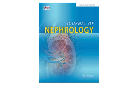 Phosphate binders in chronic kidney disease: a systematic review of recent data